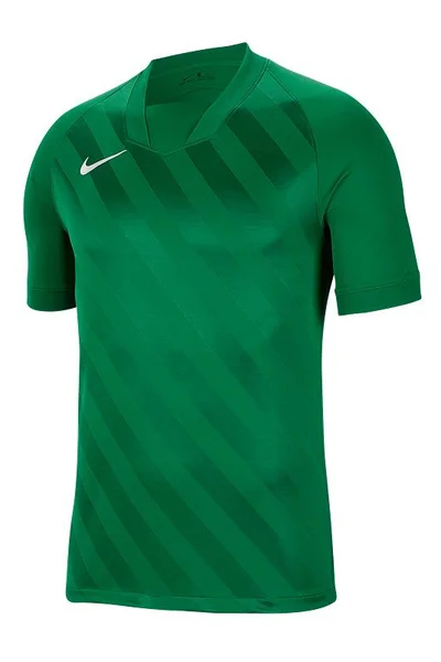 Zelené pánské tričko Nike Challenge III M BV6703-302