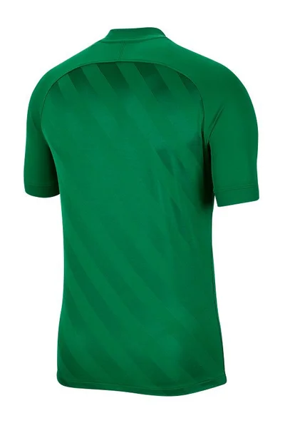 Zelené pánské tričko Nike Challenge III M BV6703-302