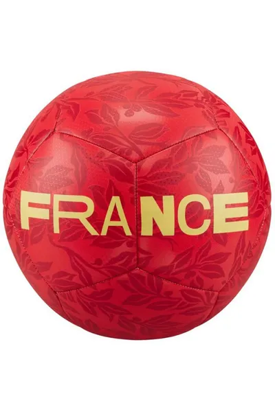 Fotbalový míč France NIKE