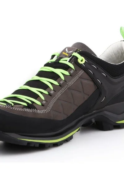 Pánská trekingová obuv Salewa MS MTN Trainer 2 L M 61357-0471