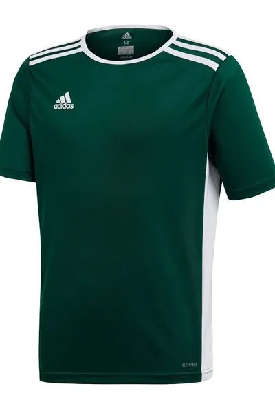 Juniorské zelené tričko Adidas Entrada 18 Jr CE9563