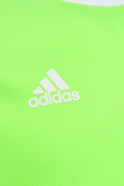 Zelené dětské tričko Adidas Entrada 18 Jr CE9755