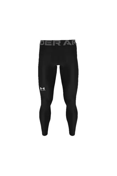 Pánské HeatGear Armour Legíny - Under Armour