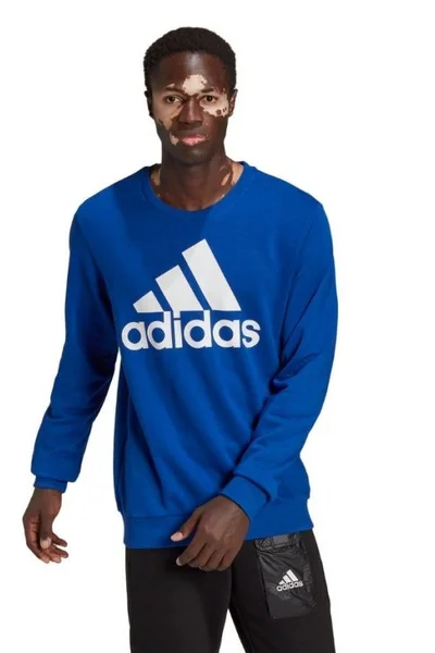 Pánská modrá mikina Adidas Essentials Big Logo