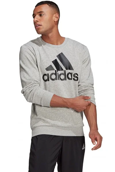 Šedá pánská mikina Adidas Essentials Sweatshirt M GK9077