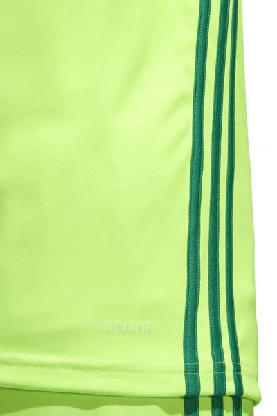 Zelené fotbalové tričko Adidas Regista 18 Jersey M CE8973