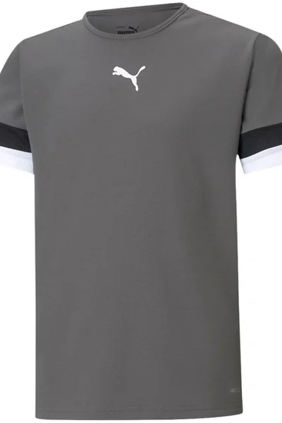 Šedé dětské tričko Puma teamRise Jersey Jr 704938 13