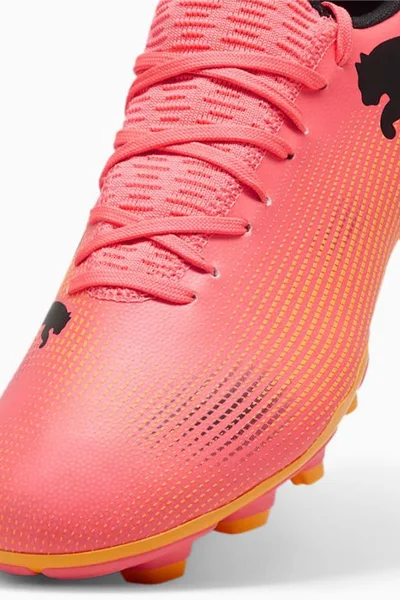 Fotbalové kopačky Puma Future Play FG/AG M