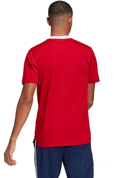 Tréninkové tričko Pánské - Adidas Aeroready Primegreen