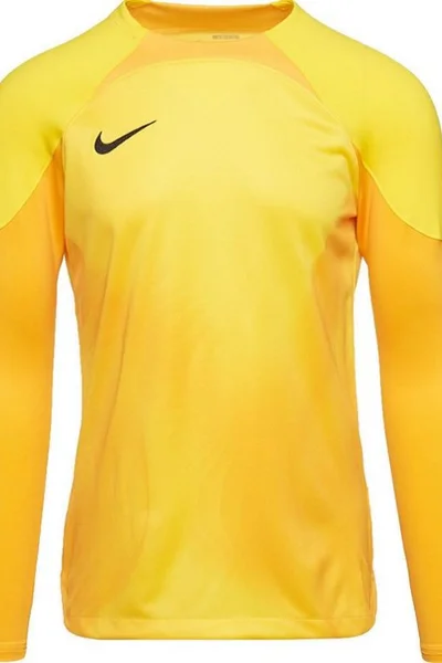 Brankářský dres Nike Gardien IV