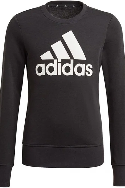 Černá dětská mikina Adidas Essentials Big Logo Jr GP0040