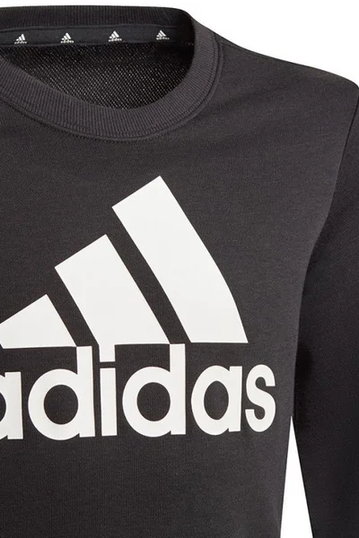 Černá dětská mikina Adidas Essentials Big Logo Jr GP0040