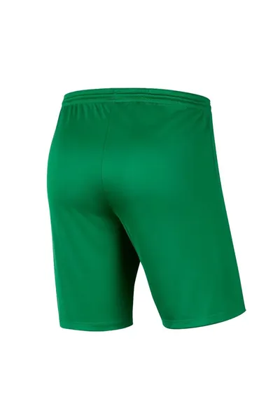 zelené dětské šortky Nike Park III Knit Jr BV6865-302
