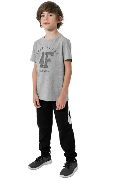 Tričko s velkým logem 4F pro kluky
