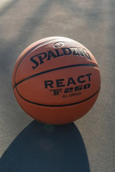 Basketbalový míč Spalding React