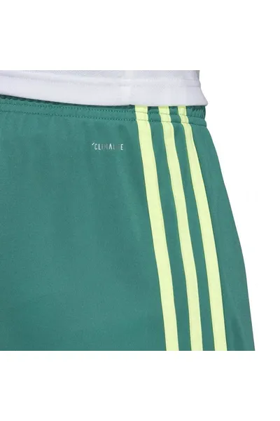 Zelené pánské šortky Adidas M Tastigo 19 DP3251